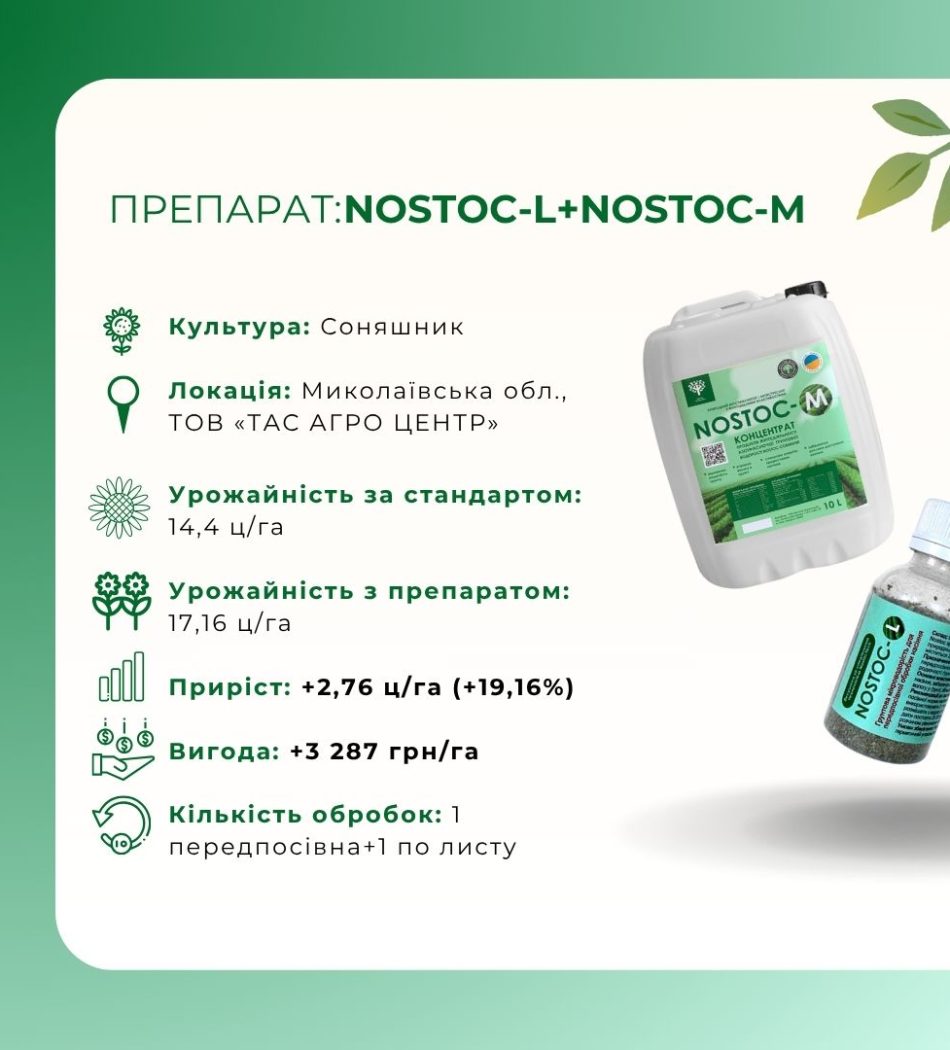 NOSTOC-L+NOSTOC-M