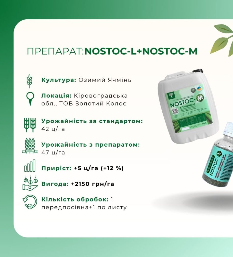 NOSTOC-L+NOSTOC-M, 2