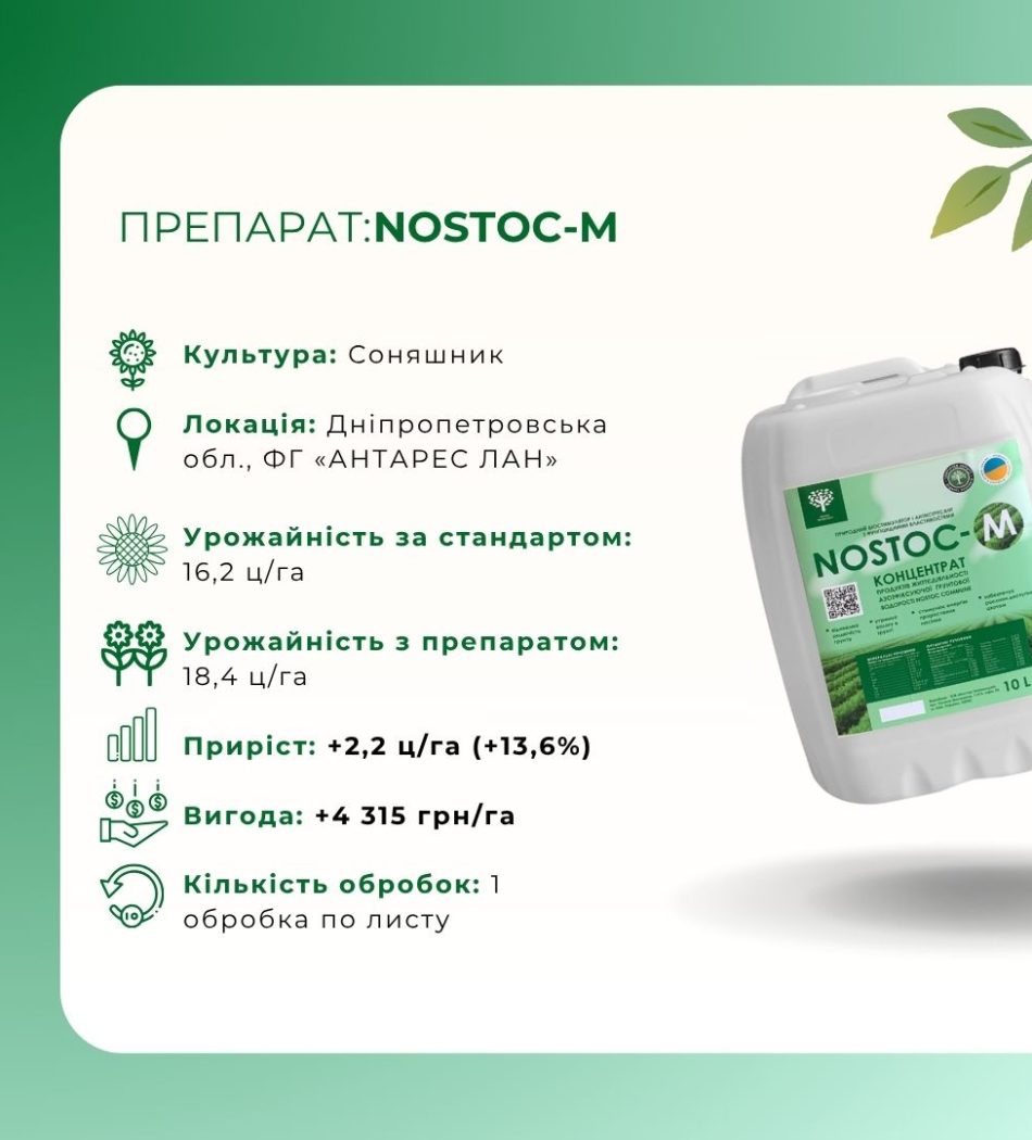 NOSTOC-M, 2 (соняшник)