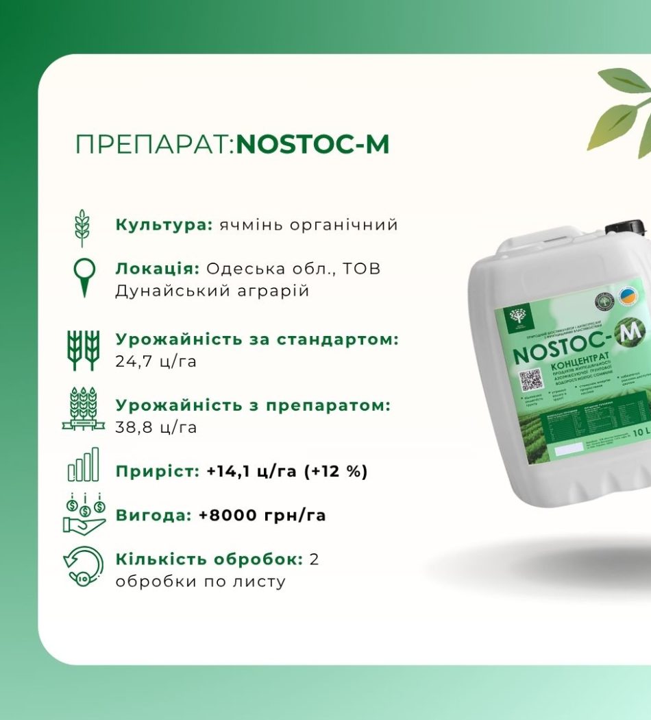 NOSTOC-M, 2 (ячмінь)