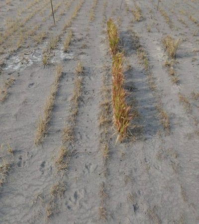 photo_2023-09-14_15-48-57